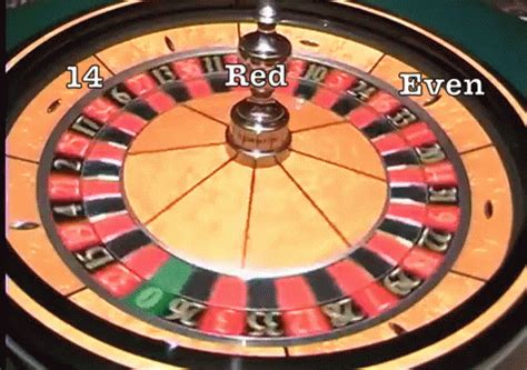 funny roulette gif